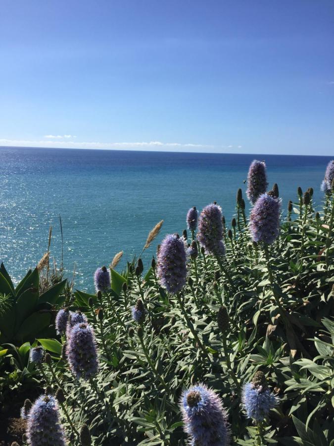 Calheta Ocean View Family Apartment - Air Condition Estreito Da Calheta エクステリア 写真